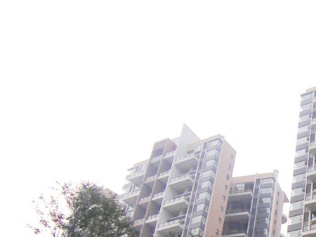 保利·公園198.jpg