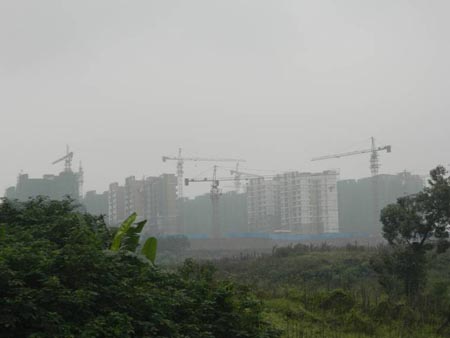 金信未來(lái)錦城