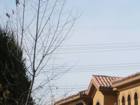 長春潭溪別墅2期.jpg