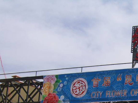 宜良鄉(xiāng)鴨湖