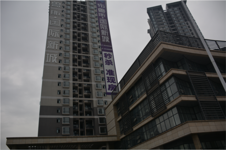 布魯斯國際新城
