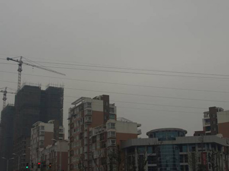 遠(yuǎn)達(dá) 都市森林.jpg
