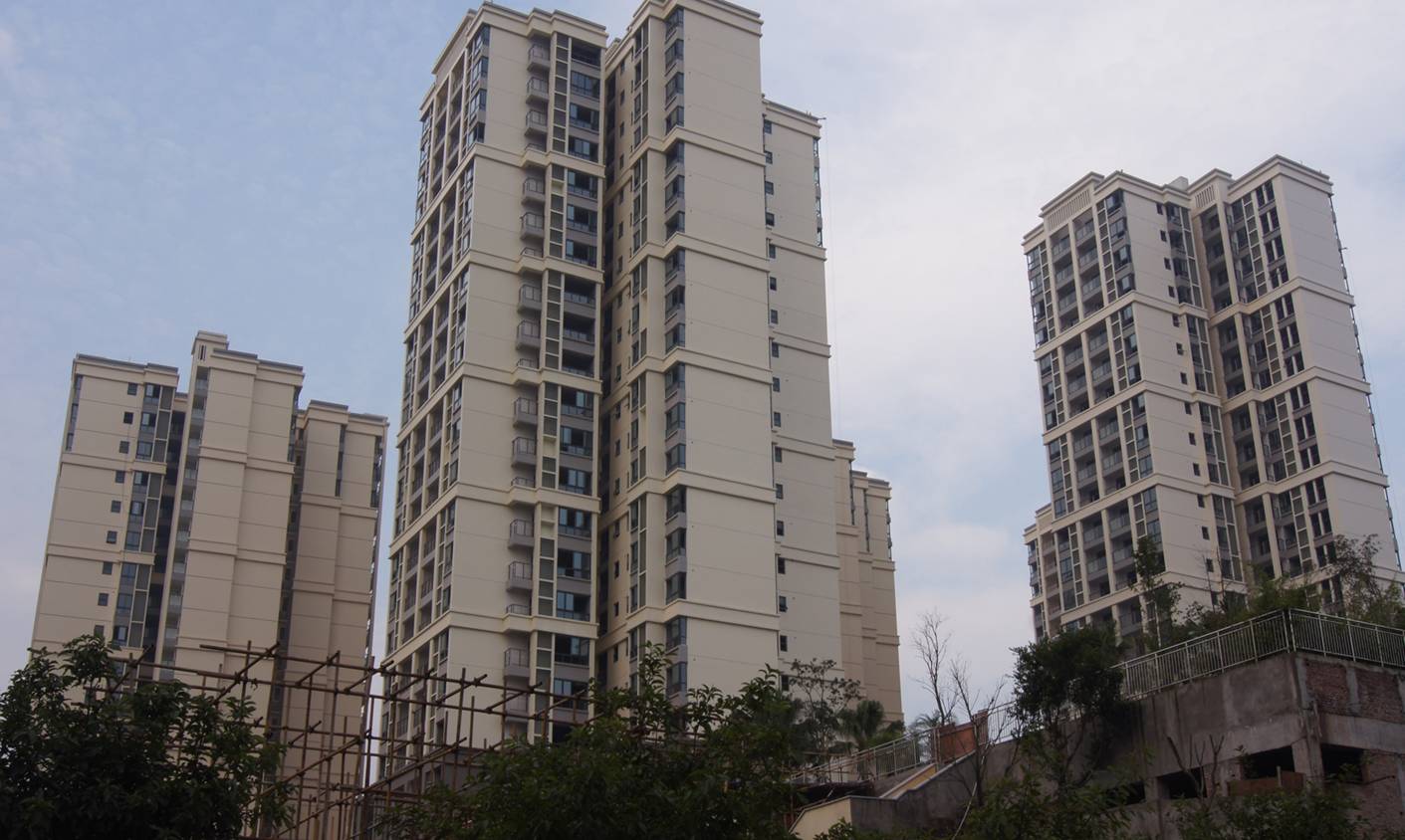 魯能鑫菁英.jpg