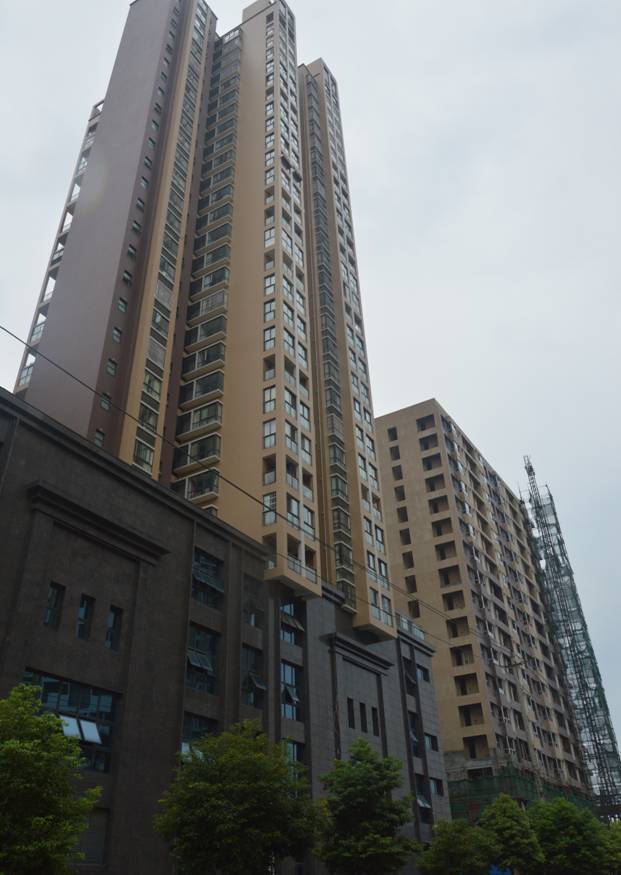 河濱鷺島.jpg